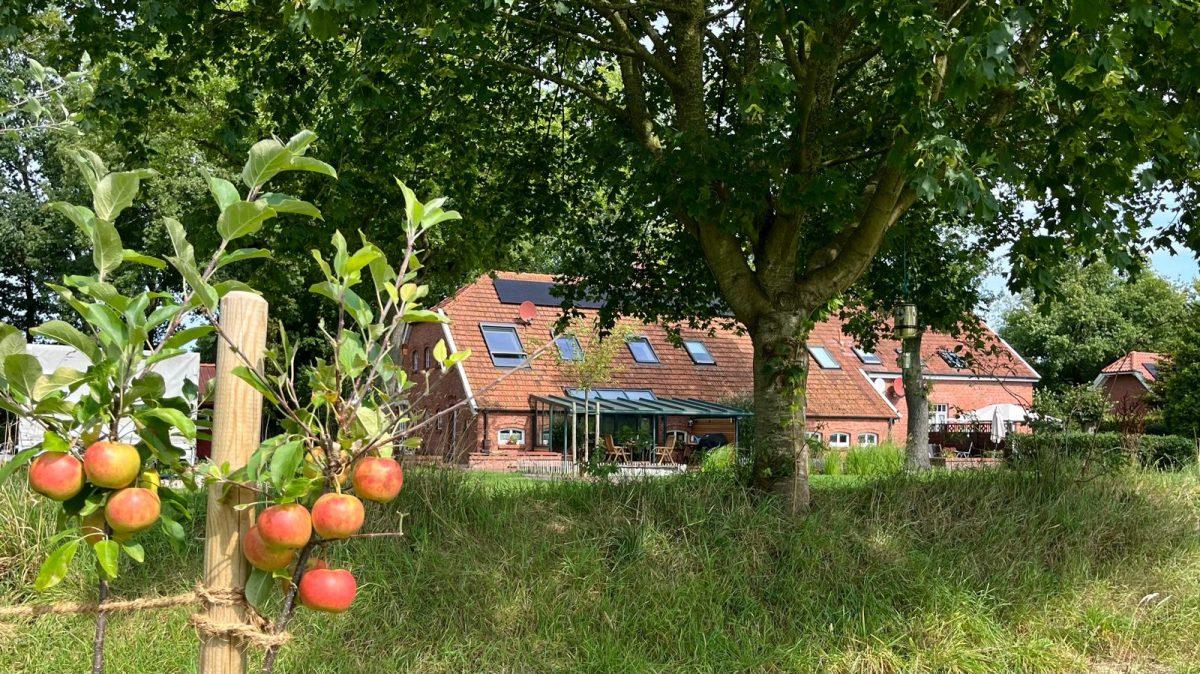 Landhaus mit Apfelbaum und überdachter Terrasse