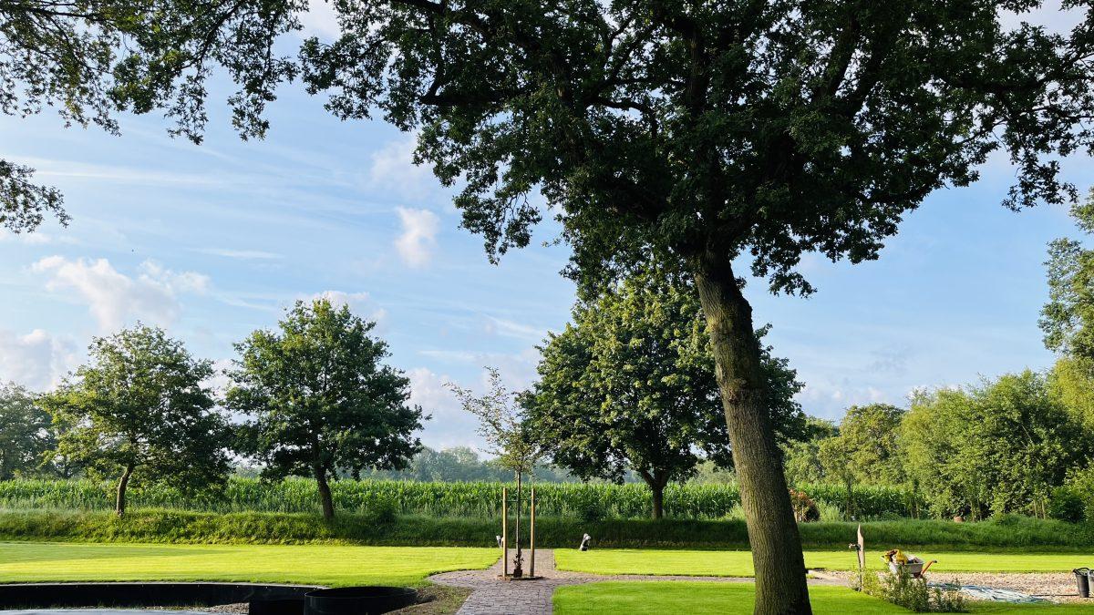 Großer Garten mit altem Baum und Weitblick