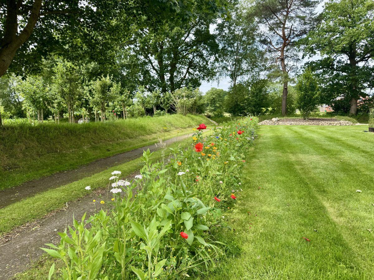Garten mit Blumenwiese und Rasenfläche